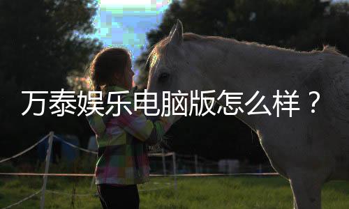 万泰娱乐电脑版怎么样?资深玩家真实体验评测