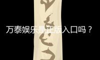万泰娱乐是正版入口吗？揭秘平台资质与安全玩法指南