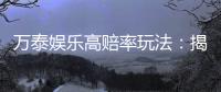 万泰娱乐高赔率玩法：揭秘稳赢技巧与实战策略