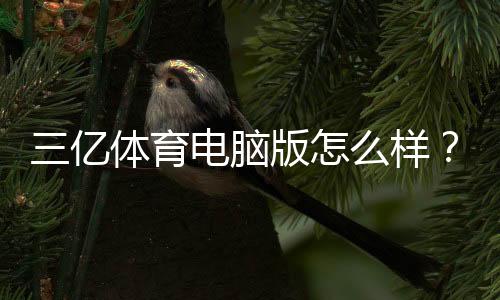 三亿体育电脑版怎么样?功能、稳定性与安全性全面评测