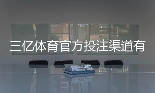 三亿体育官方投注渠道有哪些?最新版官方入口、注册与安全充值全攻略