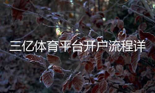 三亿体育平台开户流程详解:新手注册、实名认证与常见问题解答