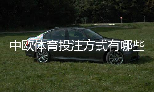 中欧体育投注方式有哪些?新手必看:胜平负、让球、大小球、滚球与串关全面解析