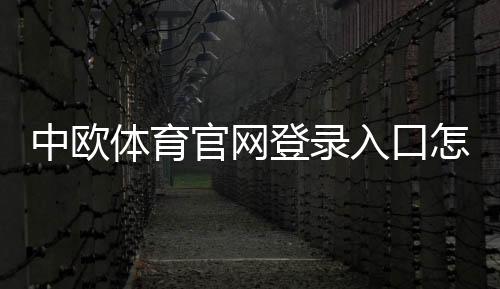 中欧体育官网登录入口怎么进?最新登录方法与新手注册、安全问题全解析