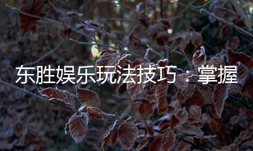 东胜娱乐玩法技巧:掌握这些技巧轻松提升胜率