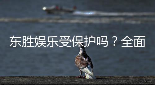 东胜娱乐受保护吗?全面解析其安全性与玩家保障措施