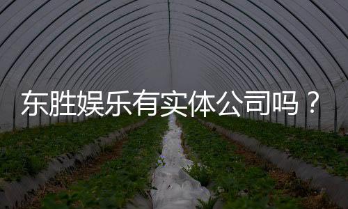 东胜娱乐有实体公司吗?实地探访其线下运营与资质详情