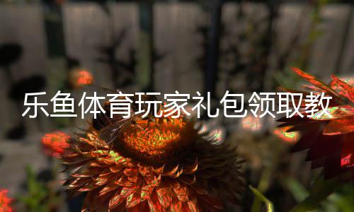 乐鱼体育玩家礼包领取教程:礼包码、激活步骤与福利内容一文看懂