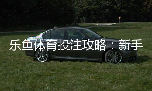 乐鱼体育投注攻略：新手入门、注册充值与实战投注技巧全解析