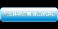 乐鱼体育注册地址在哪里?最新版注册流程、实名认证与安全注意事项详解
