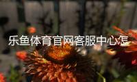 乐鱼体育官网客服中心怎么联系？在线客服、电话与常见问题快速解决指南