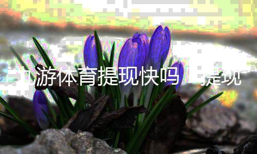 九游体育提现快吗?提现到账时间、流程与常见问题全面解析