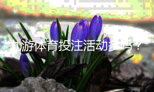 九游体育投注活动多吗?优惠类型、频率与参与攻略全面解析