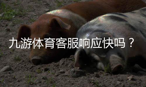 九游体育客服响应快吗？实测响应速度与快速联系攻略