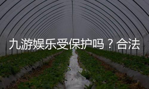 九游娱乐受保护吗?合法性、隐私与资金安全全解析