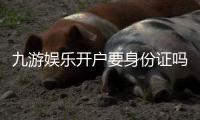 九游娱乐开户要身份证吗？实名认证流程、注意事项与快速通过攻略