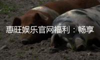 惠旺娱乐官网福利：畅享超值优惠与独家游戏礼包