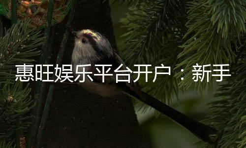 惠旺娱乐平台开户:新手注册即享豪华礼包与高额返利