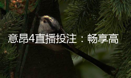 意昂4直播投注:畅享高赔率赛事与真人娱乐体验
