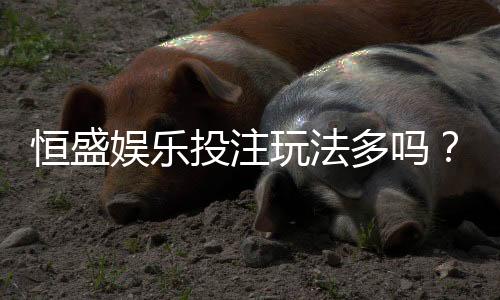 恒盛娱乐投注玩法多吗？深度解析平台特色与游戏选择