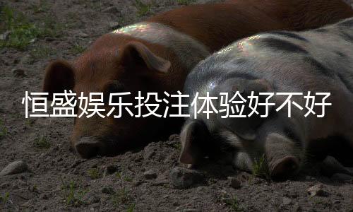 恒盛娱乐投注体验好不好？资深玩家亲测真实反馈