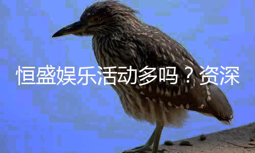 恒盛娱乐活动多吗?资深玩家揭秘其丰富福利与特色玩法