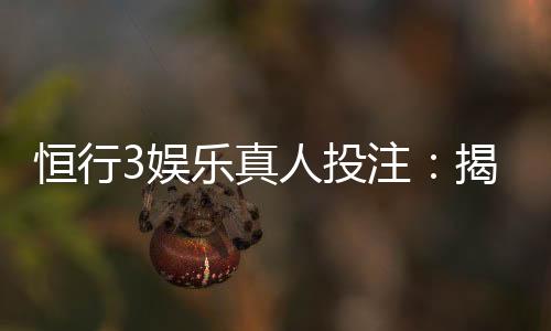 恒行3娱乐真人投注:揭秘高胜率玩家的实战技巧与策略