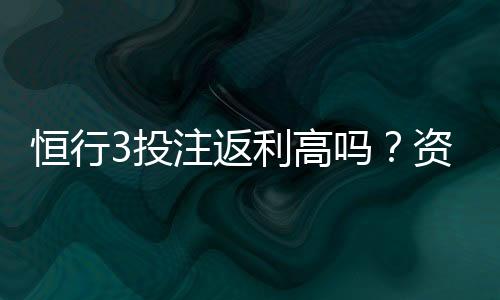 恒行3投注返利高吗?资深玩家揭秘真实返利比例与技巧