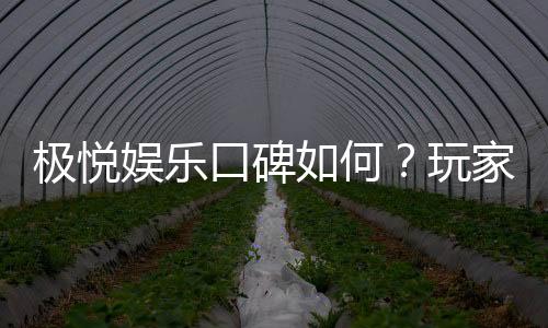 极悦娱乐口碑如何？玩家真实评价与体验分享