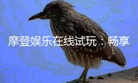 摩登娱乐在线试玩：畅享经典电子游艺体验豪华试玩盛宴