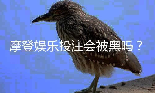 摩登娱乐投注会被黑吗?揭秘平台安全性与防坑指南