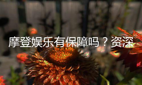 摩登娱乐有保障吗?资深玩家解析平台安全与可靠性