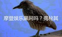 摩登娱乐黑网吗？揭秘其安全性及玩家真实体验