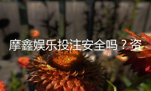摩鑫娱乐投注安全吗?资深玩家解析平台保障与风险管控