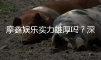 摩鑫娱乐实力雄厚吗？深度解析其平台优势与玩家真实体验