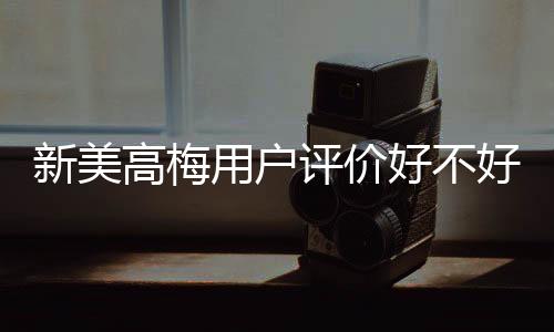 新美高梅用户评价好不好?真实玩家体验分享