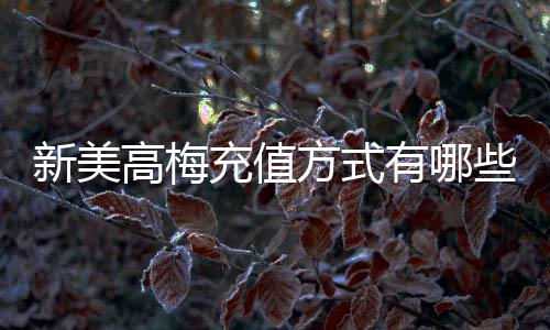 新美高梅充值方式有哪些?详解最新存款渠道与优惠活动