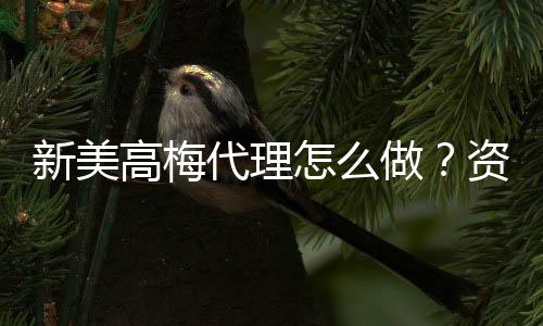 新美高梅代理怎么做？资深玩家揭秘申请流程与盈利技巧
