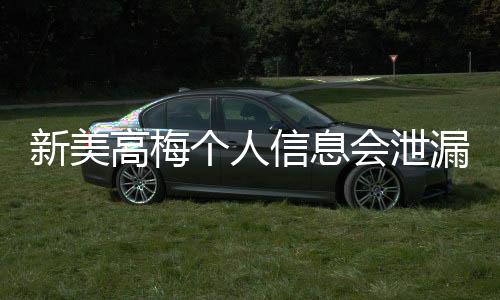 新美高梅个人信息会泄漏吗?深度解析平台安全性与防护措施