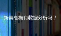新美高梅有数据分析吗？深度解析其数据服务与玩家体验