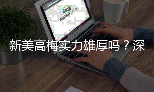 新美高梅实力雄厚吗?深度解析其品牌背景与市场竞争力