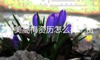新美高梅资历怎么样？资深玩家带你揭秘其真实实力
