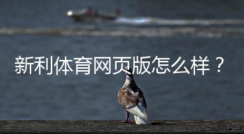 新利体育网页版怎么样？2026最新评测：安全性、功能、充值提现与用户口碑全解析
