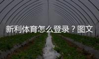 新利体育怎么登录？图文步骤、常见问题与账号安全完全攻略