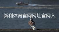新利体育官网网址官网入口2026：最新登录地址、注册充值与安全使用全攻略