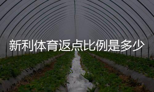 新利体育返点比例是多少?最新返点政策与返点计算方法详解