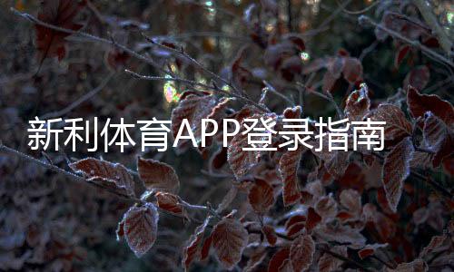 新利体育APP登录指南:下载注册、账号安全与常见问题一站解决