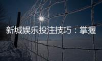 新城娱乐投注技巧：掌握这5个实战策略提升胜率