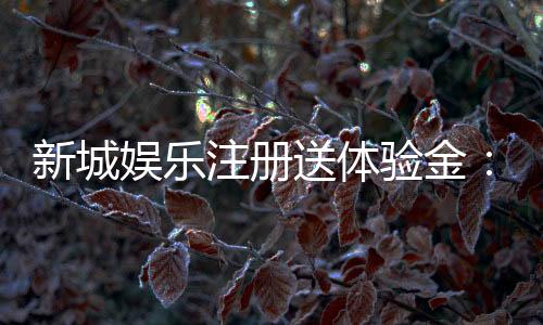 新城娱乐注册送体验金：新手必领福利与高胜率技巧分享