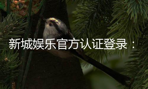 新城娱乐官方认证登录:安全便捷的一站式游戏平台指南